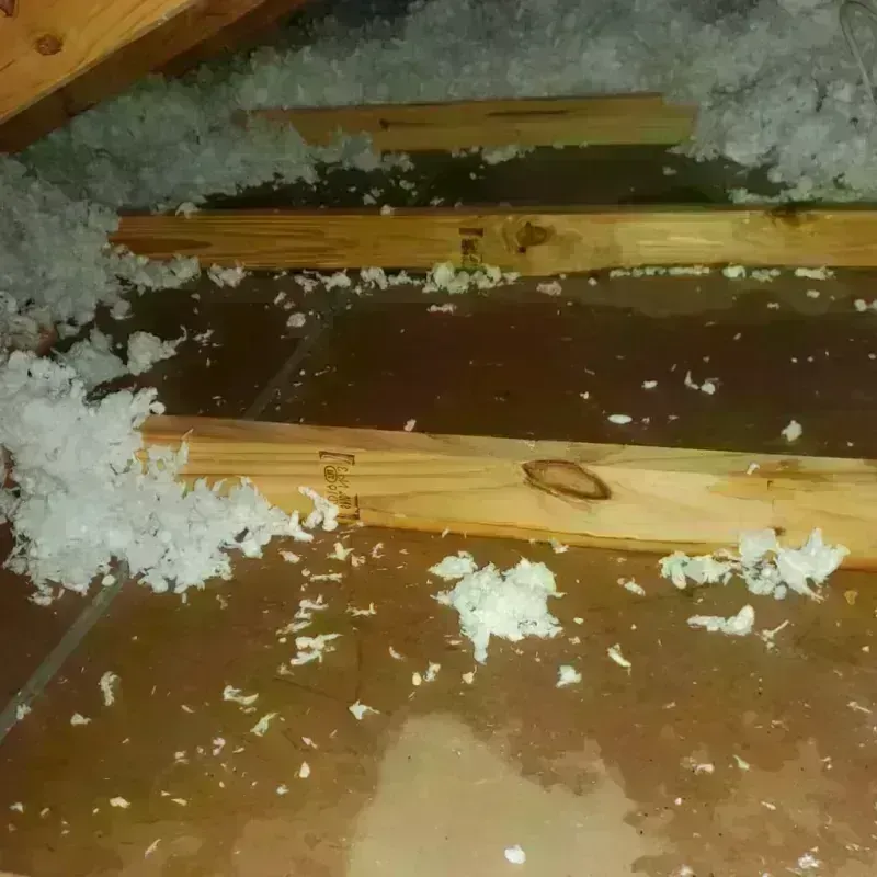 Attic Water Damage in Summit County, UT