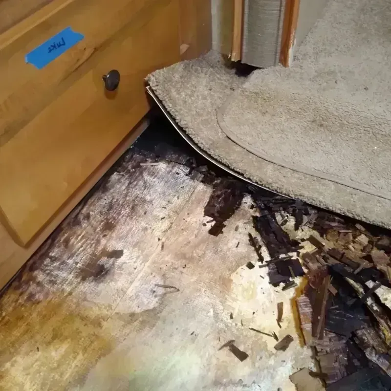 Wood Floor Water Damage in Summit County, UT